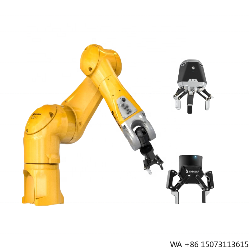 Robot Gripper - Yepyeni 6 Eksenli Endüstriyel Robot, İnsan-Makine