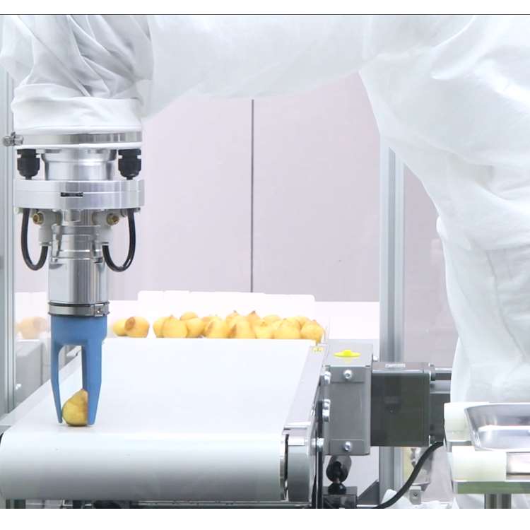 6 Eksenli CNC Robotik Kol, Lin - Robot Gripper incelemesi ve fiyatı